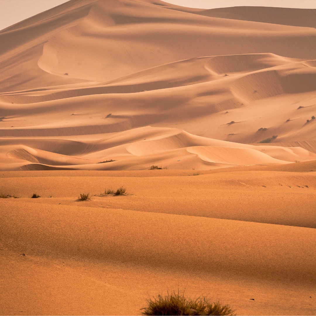 whatsapp image 2026 02 27 at 13.52.58